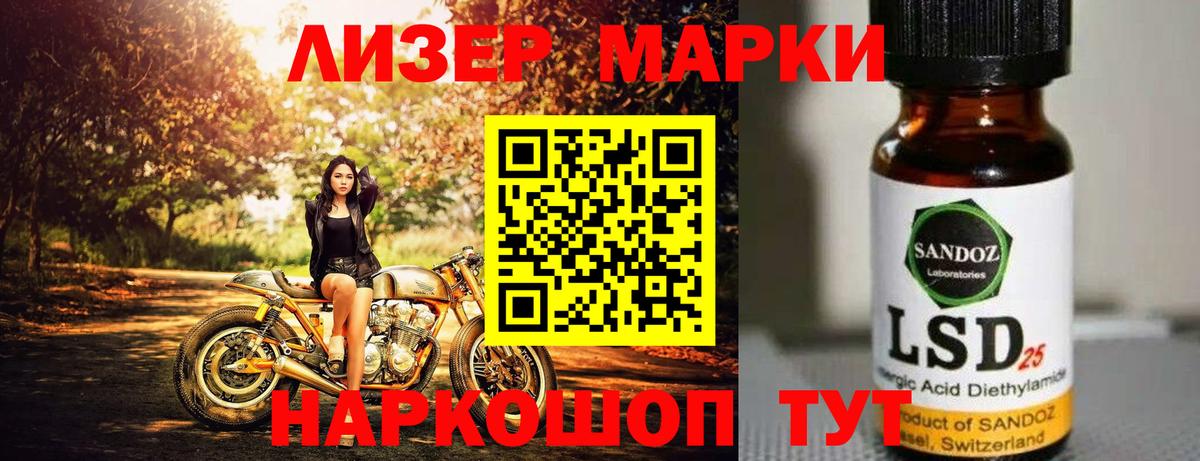 Галлюциногенные грибы Елец