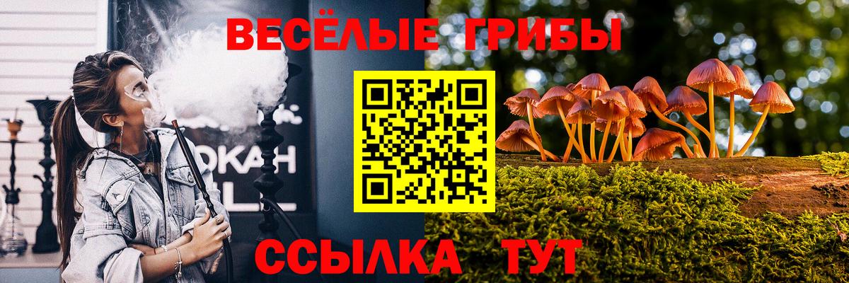 Псилоцибиновые грибы прущие грибы  Вход с VPN  где можно купить наркотик  Елец 
